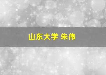 山东大学 朱伟